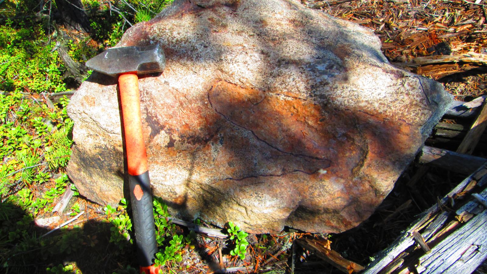 Collecting a rock sample with geo hammer in northern Saskatchewan